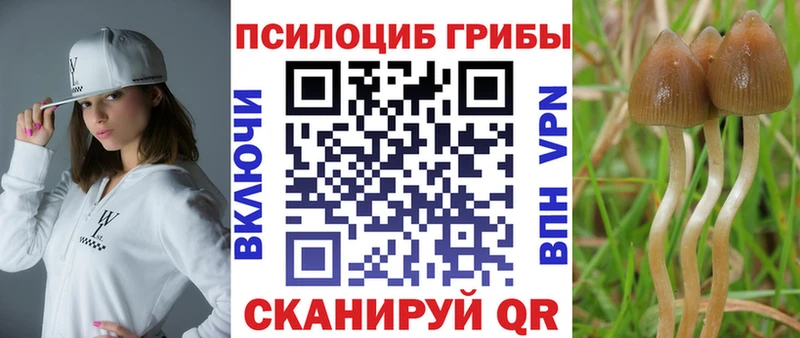 Галлюциногенные грибы MAGIC MUSHROOMS  Кстово 